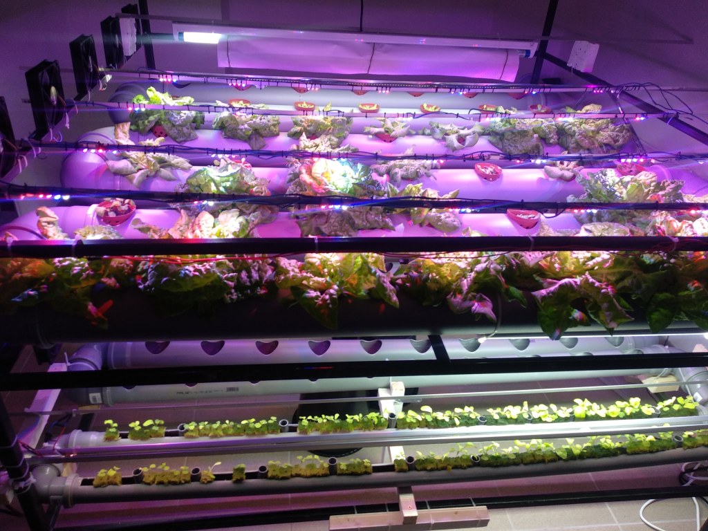 La imagen tiene un atributo ALT vacío; su nombre de archivo es img_20200819_151419.jpg